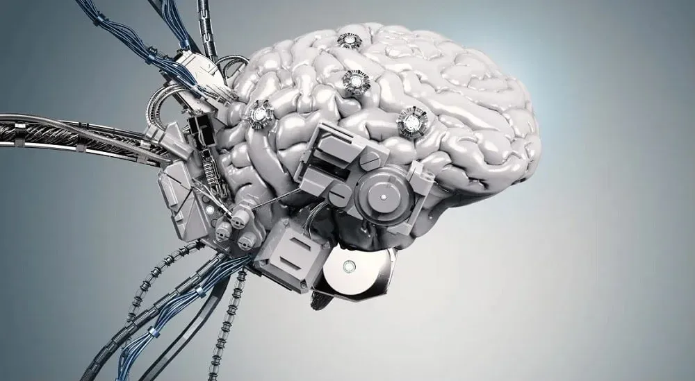 Illustration cerveau humain